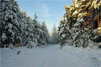 对战危险巨像 《Soulstice》公布BOSS战演示视频